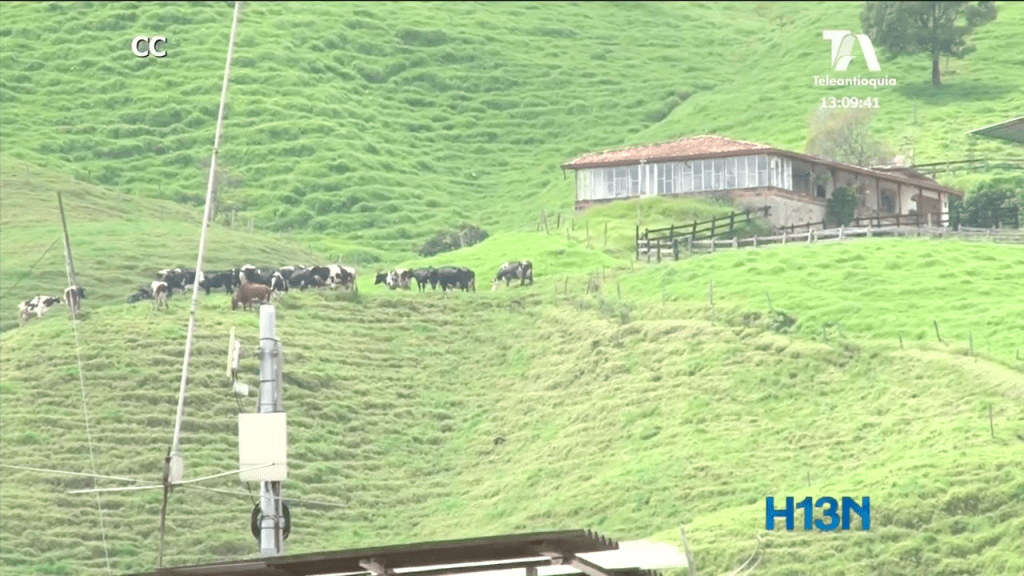 Gremio ganadero se declaró en alerta ante el fenómeno del niño alerta-fenomeno