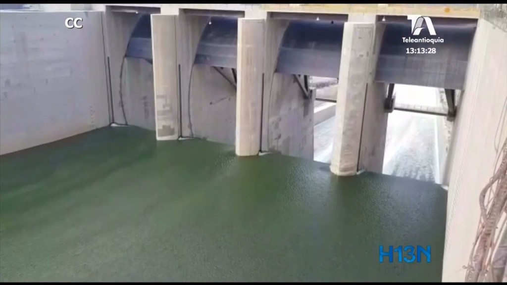 revision-contraloria