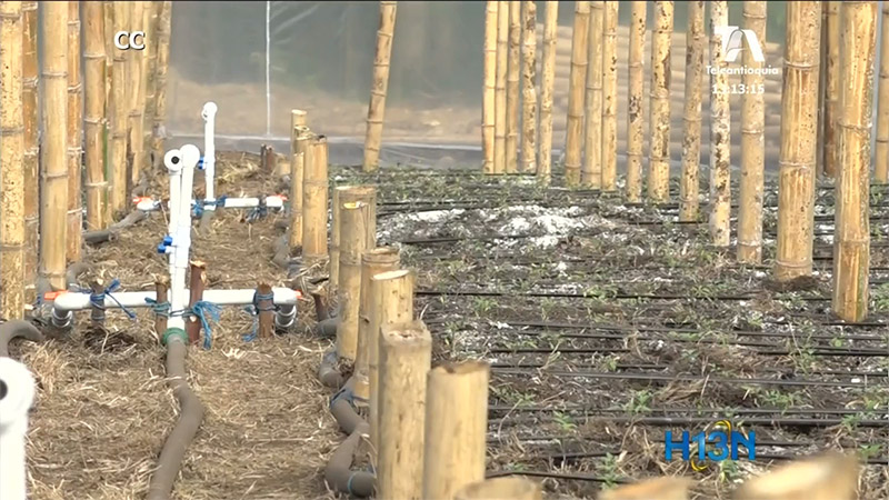 Fue inaugurada en Angelópolis la nueva planta de potabilización de agua tratamiento-agua-angelipolis