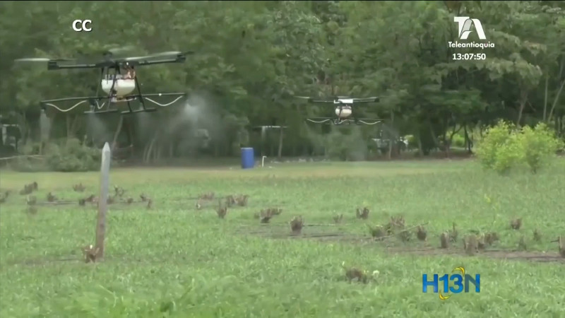 audiencia-publica-corte