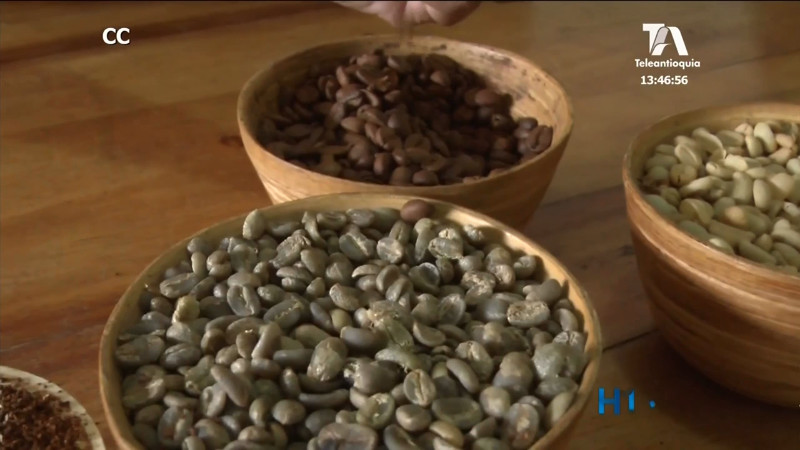 En la Mesa de los Santos hay un café especial que se exporta hacia el Japón cafe-la-mesa-de-los-santos