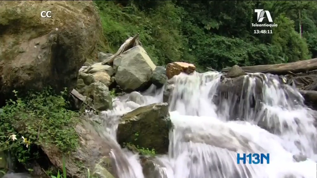 Piragua, la red social de monitoreo de agua más grande de Colombia red_piragua