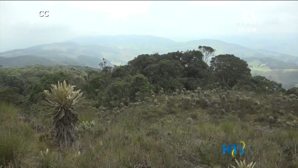 llamado_cuidado_ambiental