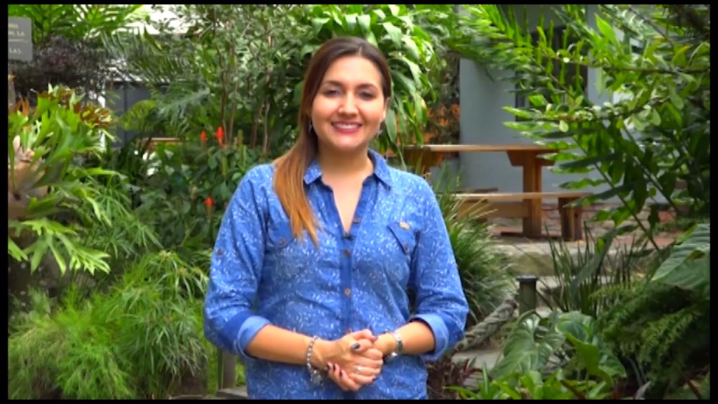 postre-teatro-y-moda