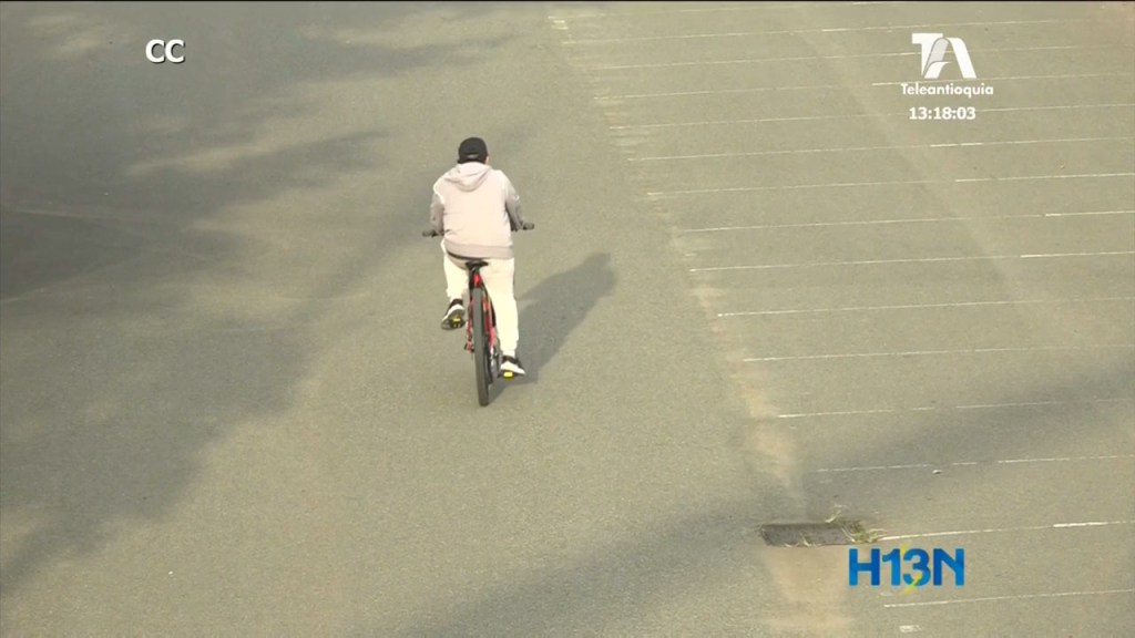 resultados_dia_sin-carro -