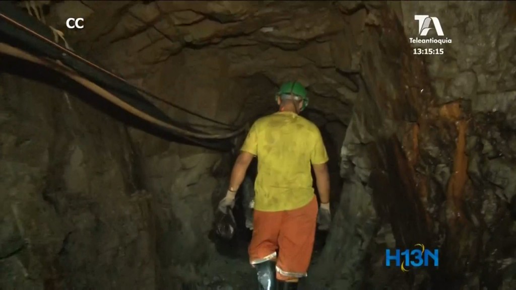 Panorama informativo mayo 08 de 2019 Muerte de reses por sequia