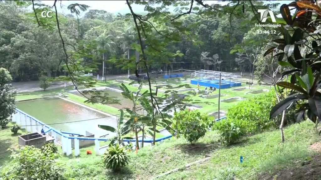 acuerdo_entre_politecnico_y_devimar -