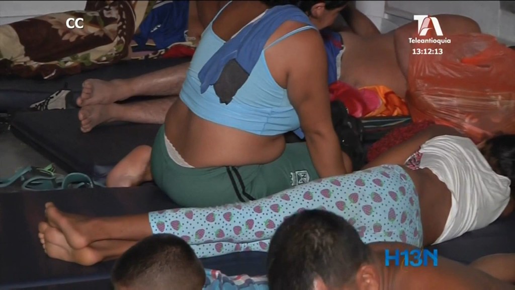 desplazados bajo cauca