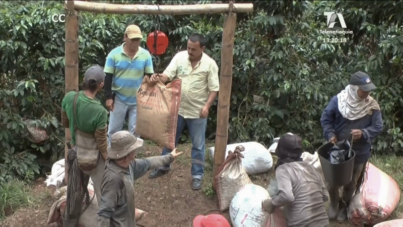 economicas-crisis-cafetera