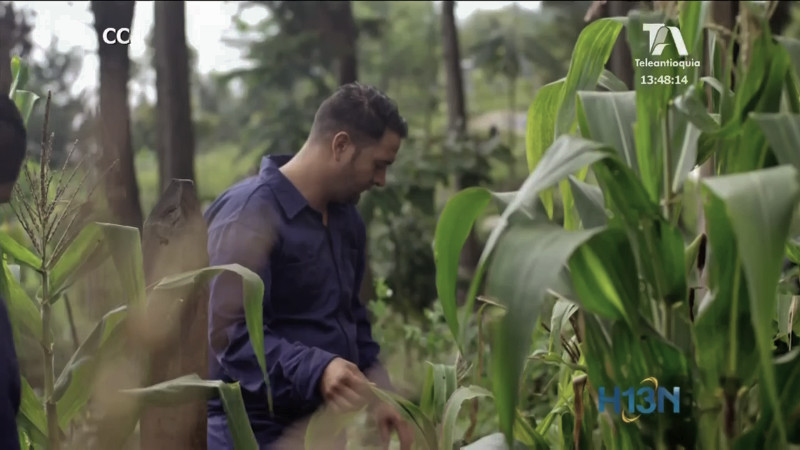 Proyecto de inclusión social gracias a una alianza entre la Alcaldia de Medellín y empresas privadas inclusion-agricultura