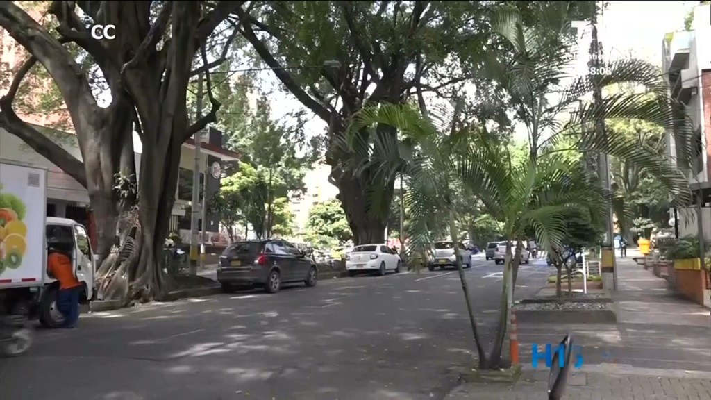 La Avenida Jardín tendrá otra cara En la Circular