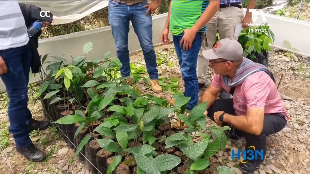 panorama informativo 13 mayo 2019