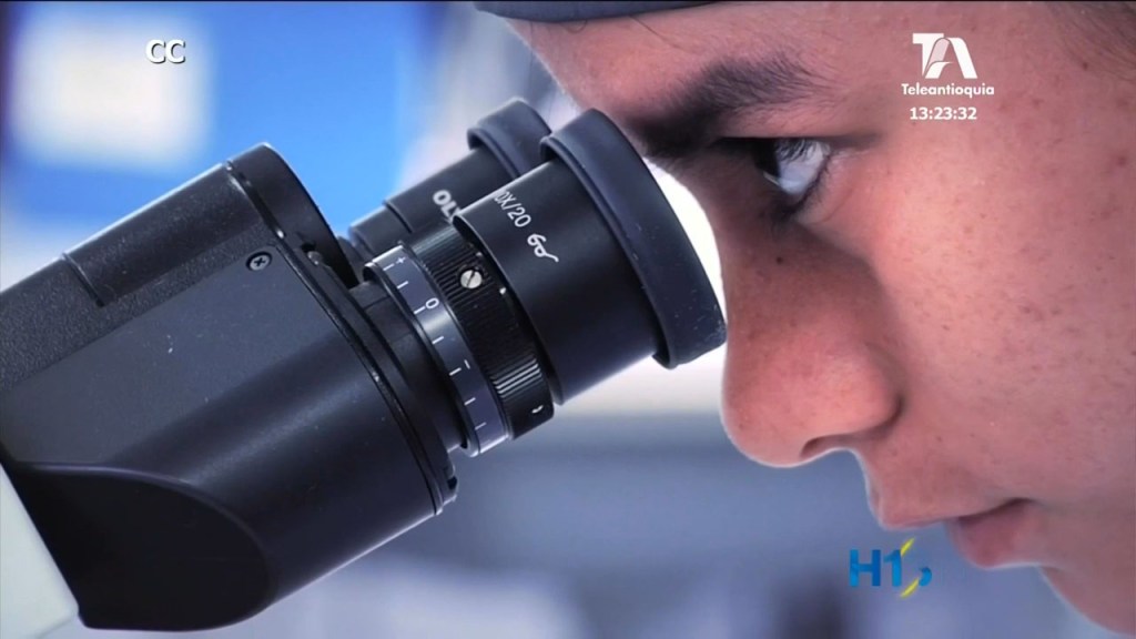 panorama informativo mayo 17