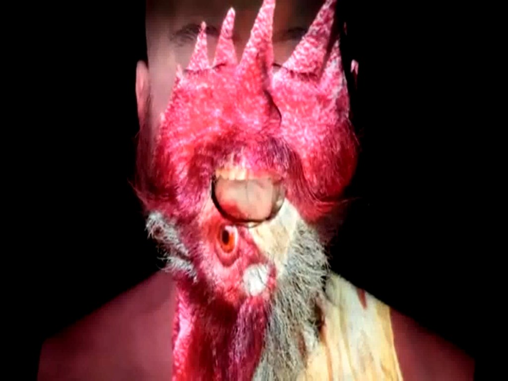 Los animales tienen voz, gracias al cantautor Camilo Valencia poste