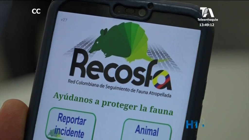 itm aplicacion proteccion animal