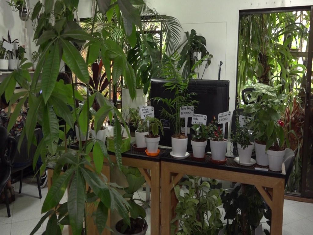 POSTRE 5 15 luisa julio4 c.mxf .00 01 38 18.Still002