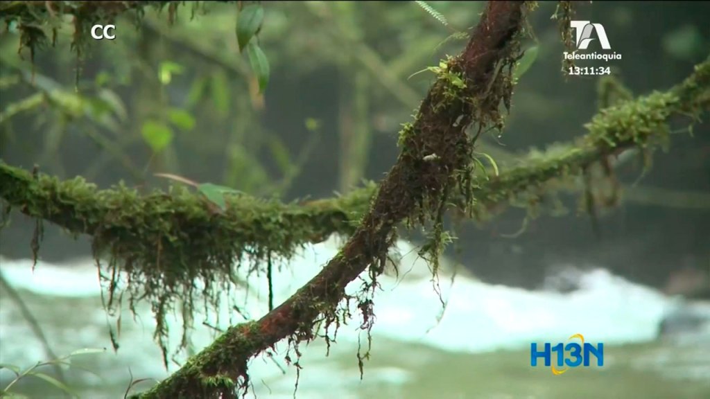 recursos_naturales_agotados