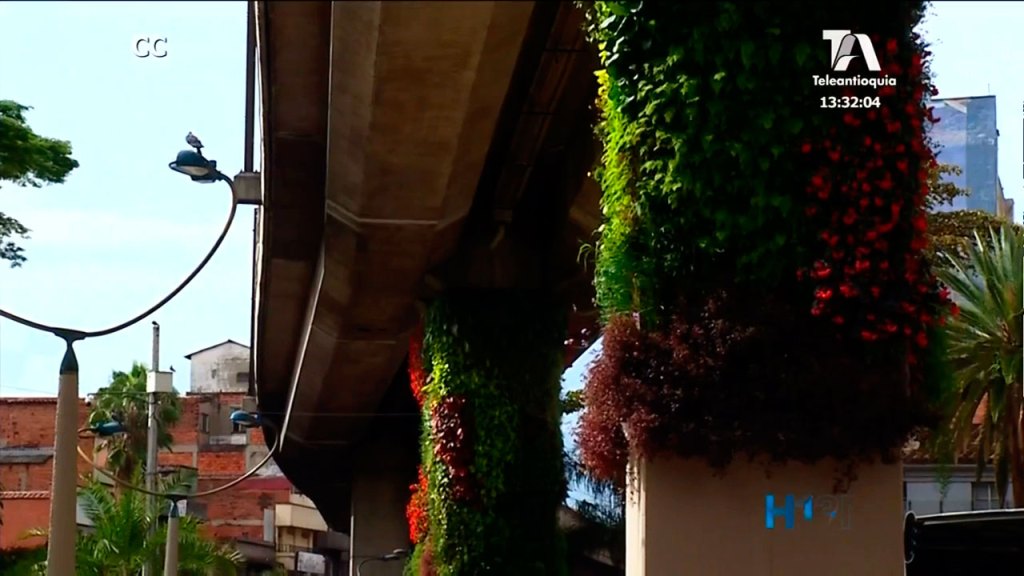 Componente novedoso: la siembra de plantas en los muros Muros Verdes