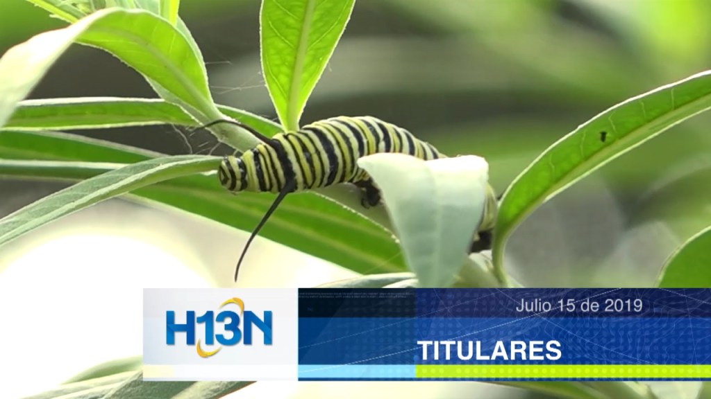 titulares15
