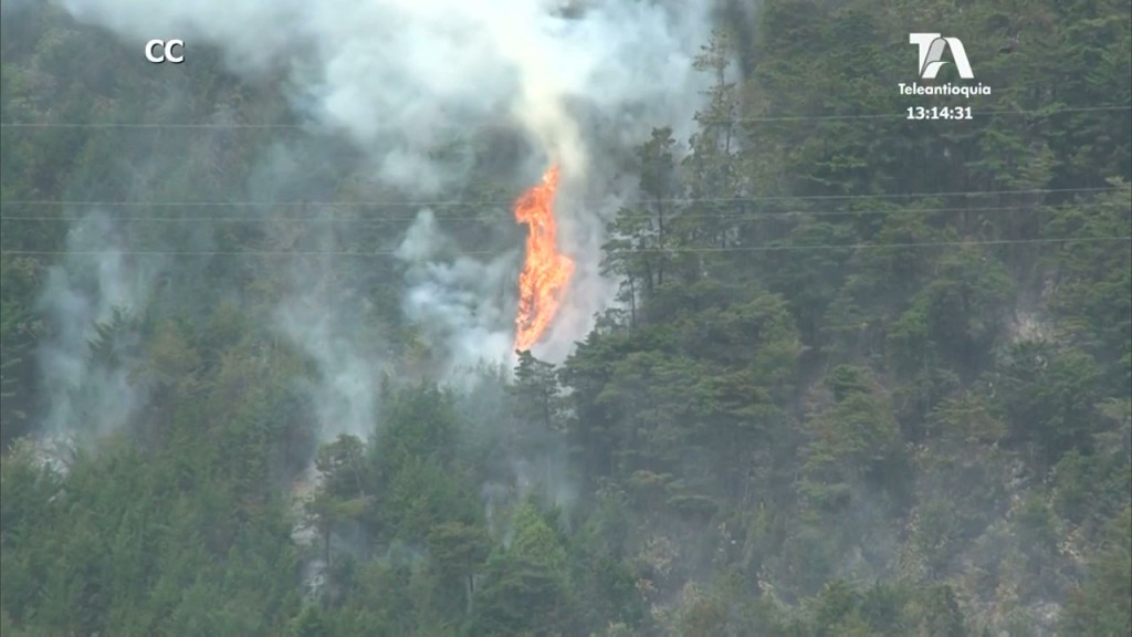 incendios forestales