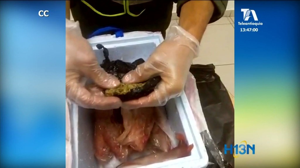 marihuana camuflada 1