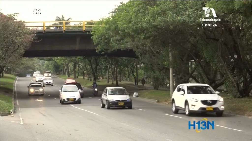 corte constitucional