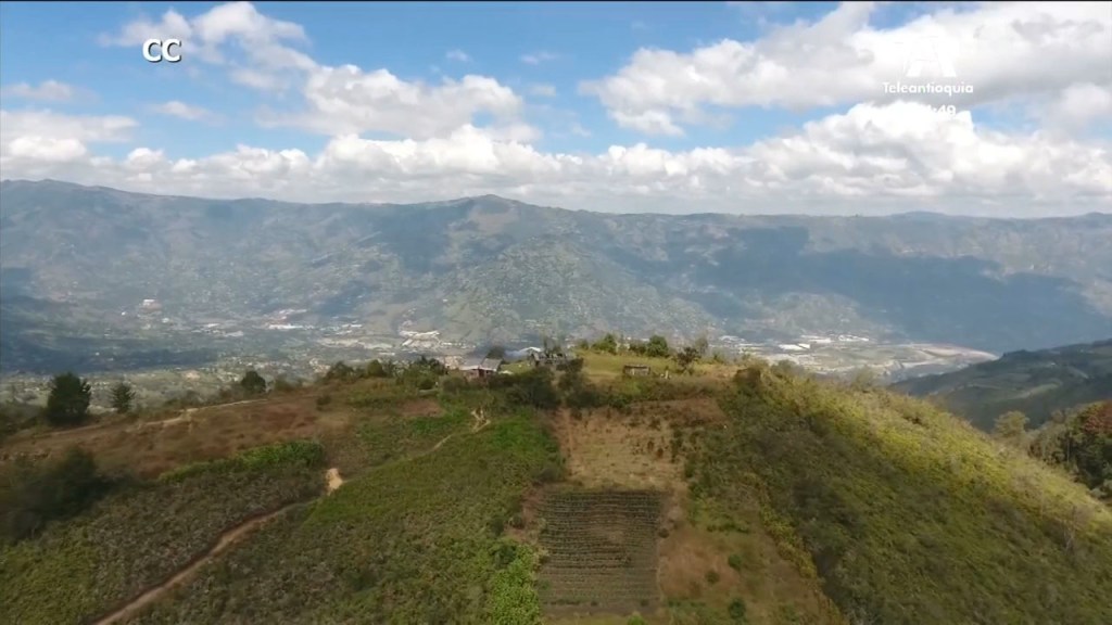 Los drones toman fuerza en el sector agroindustrial drones 1