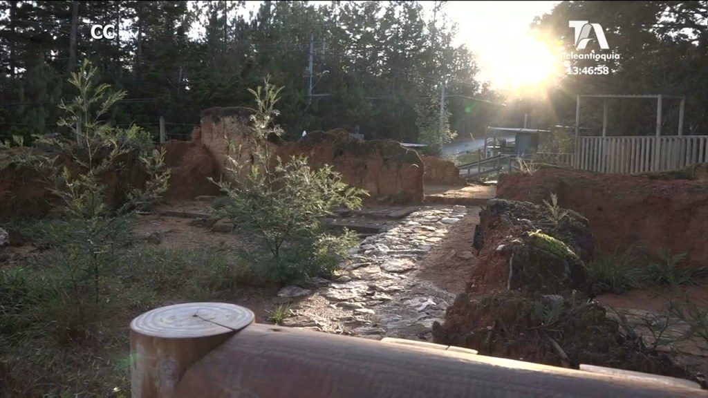 Este año el Parque Arví fue declarado zona de interés cultural y área arqueológica protegida parque arvi