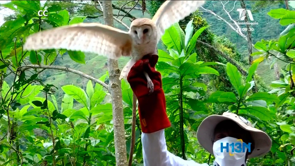 proteccion ambiental