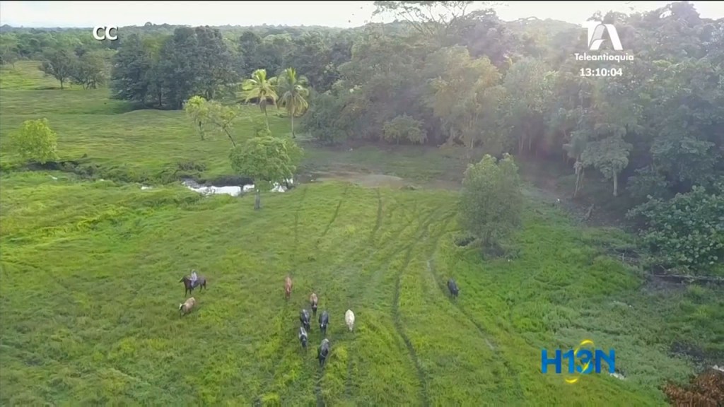 restitucion de tierras