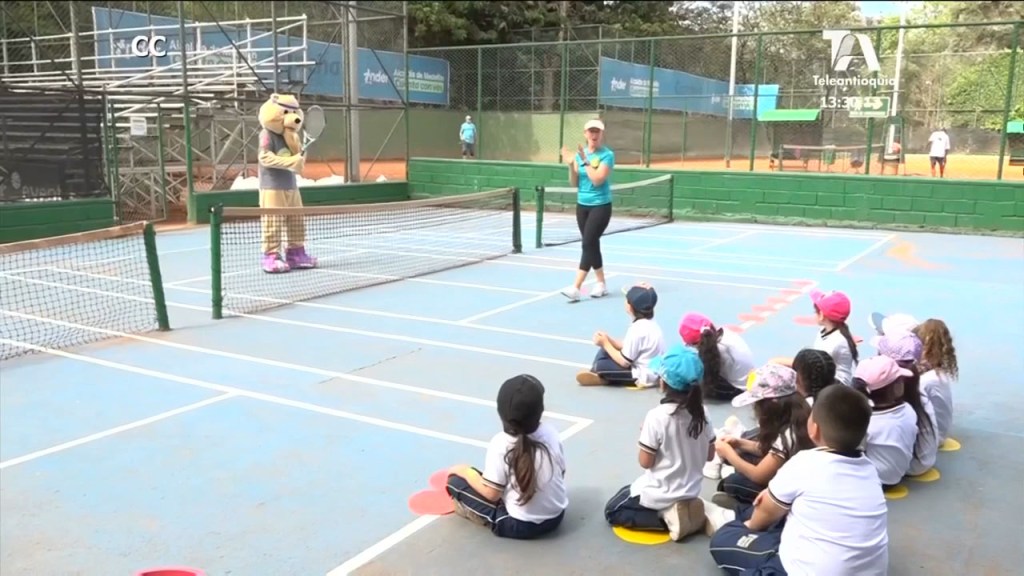 teddy tenis