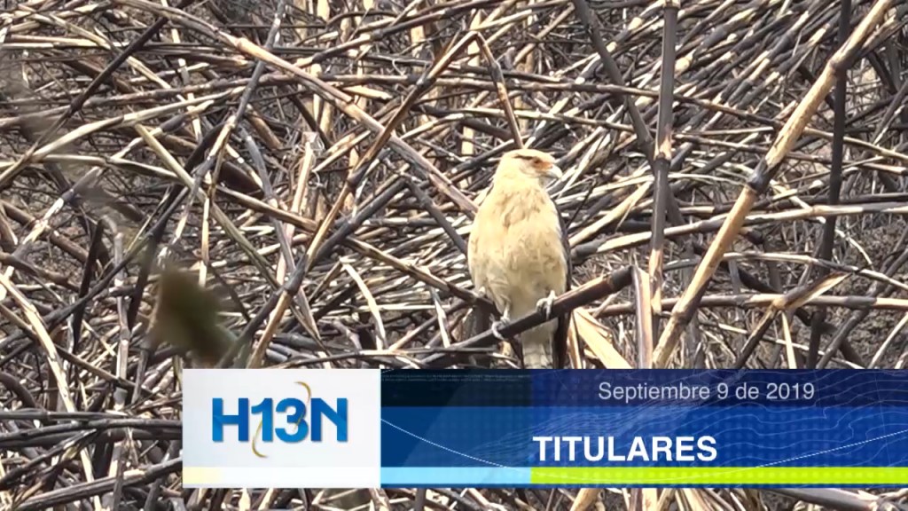 titulares 3