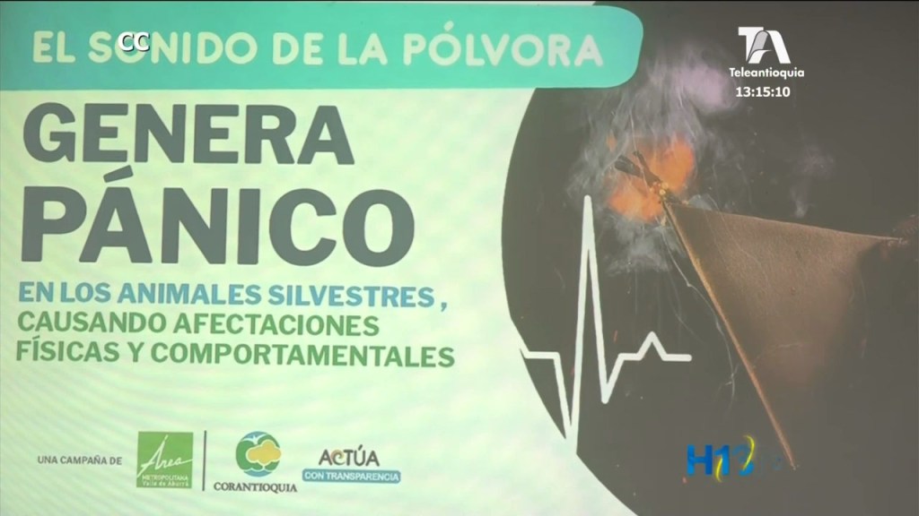 “Paremos ya el uso de la pólvora” campaña que busca eliminar la utilización de este elemento campana corantioquia