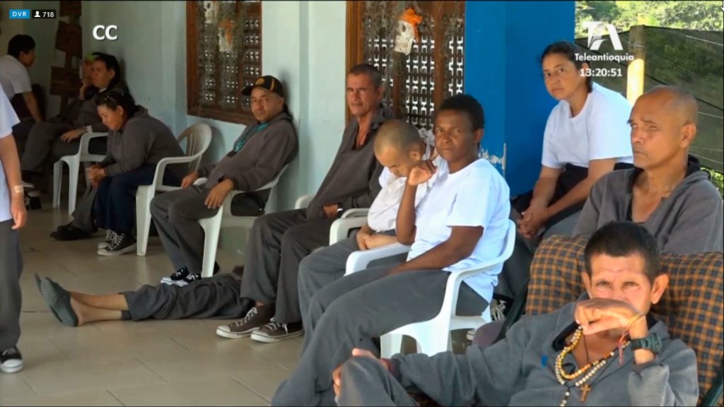 ecosesa captura de pantalla 2019 11 07 14 57 37