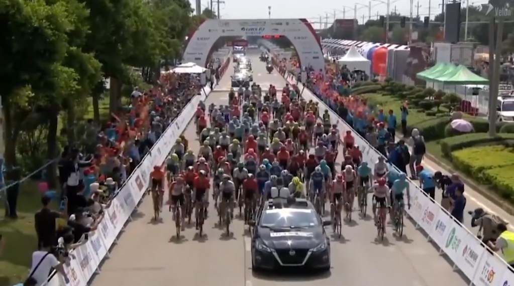 gaviria
