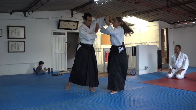 aikido