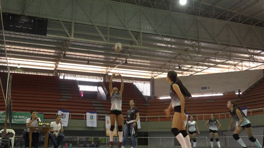 alcalzar_femenino