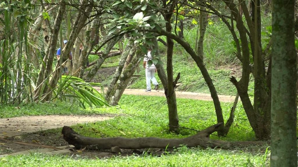 Cerro El Volador, sería la primera área protegida de Colombia, ubicada en territorio urbano