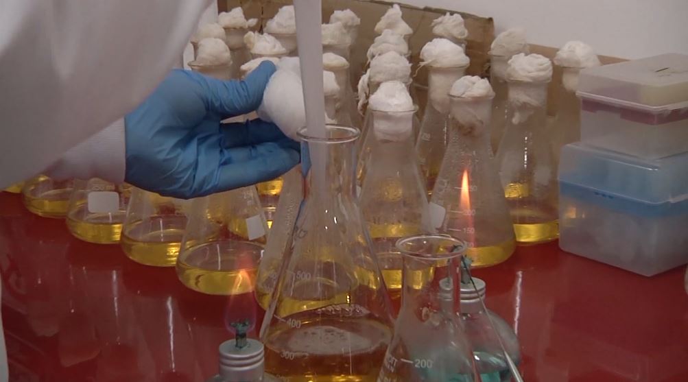 laboratorio_coronvirus_medellín