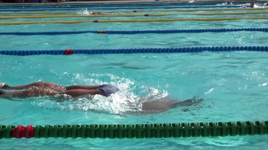 Nuevos miembros de la Liga de Natación hablan del reto de afrontar actual crisis natacion
