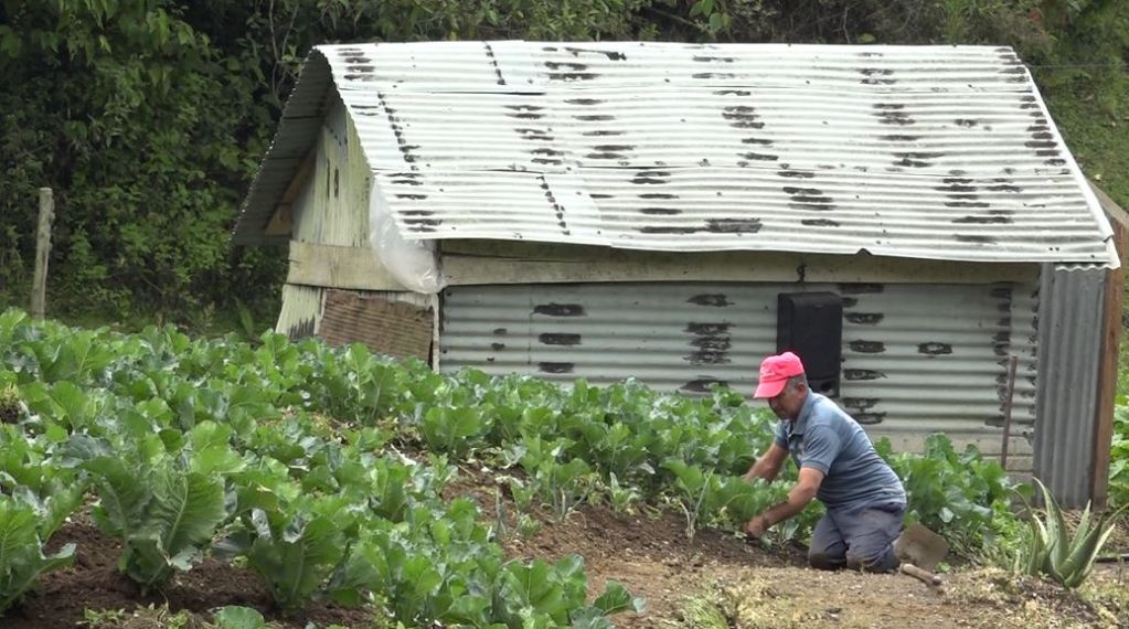 san_cristobal_mercados