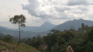 temblor_betania