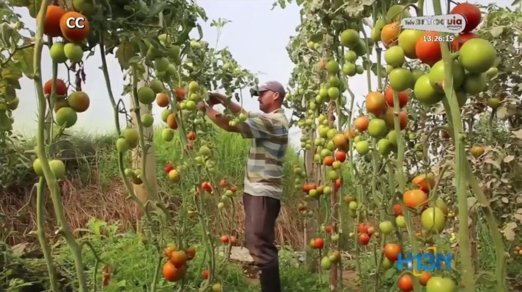alcaldía_de_medellín