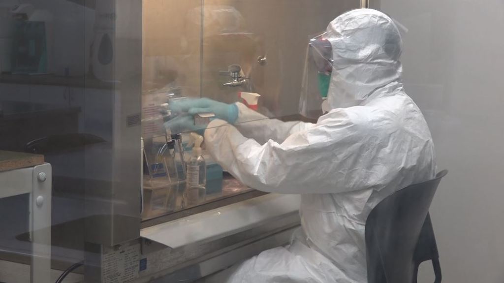 cib_laboratorio