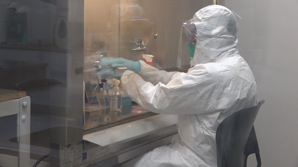 cib_laboratorio