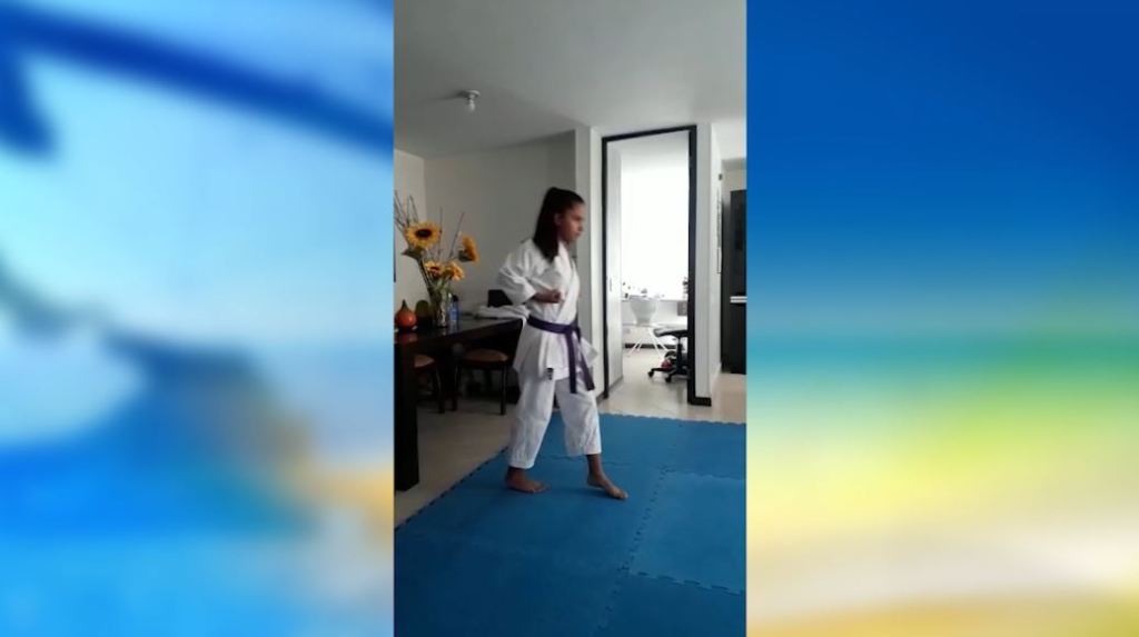 karate_competencia_virtual