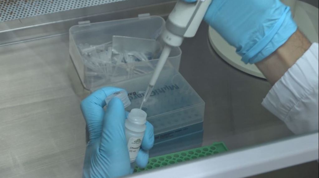 OMS_coronavirus_endémica