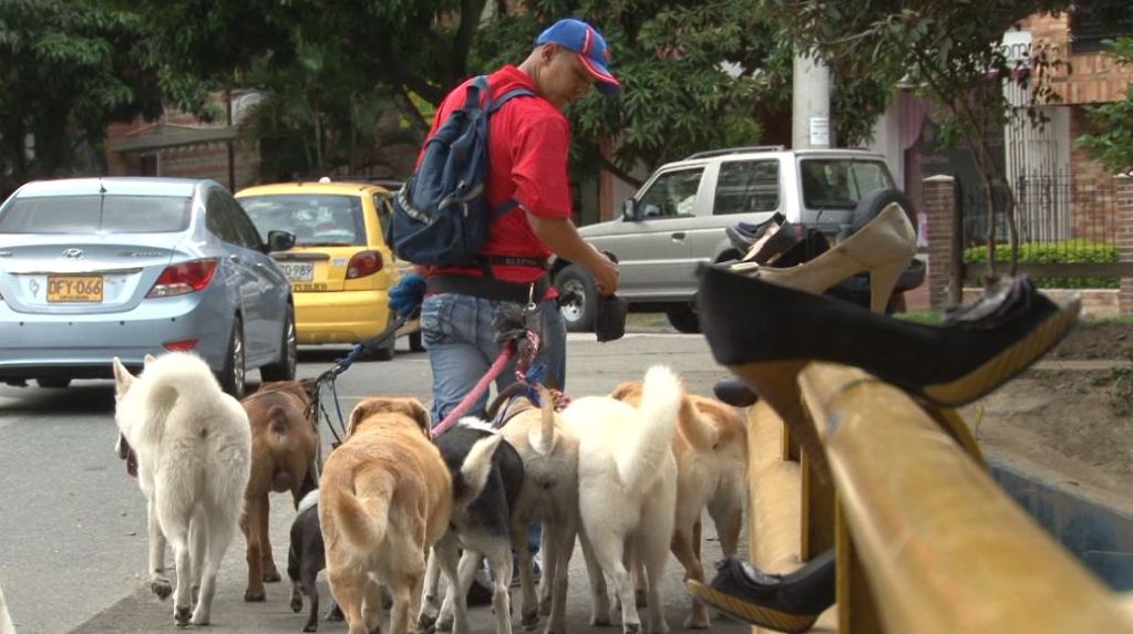 paseador_de_animales