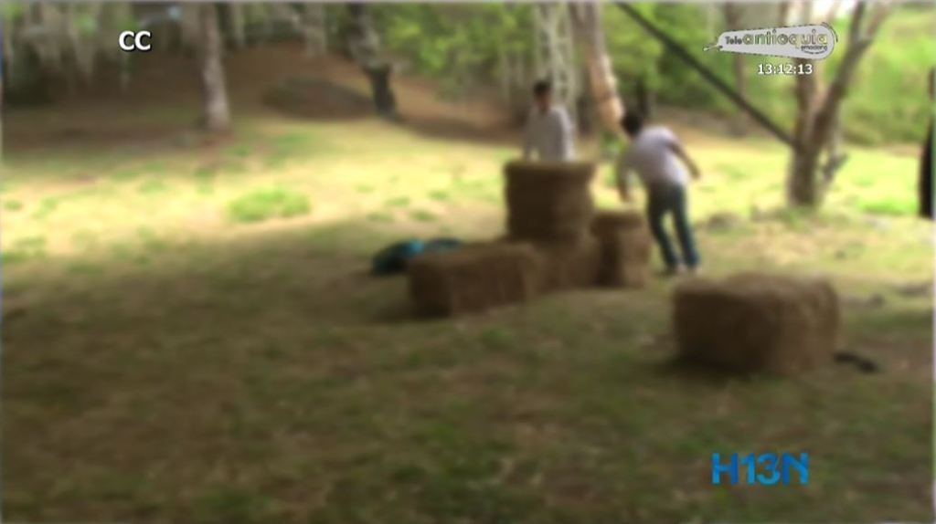 regulacion_niños_cuarentena