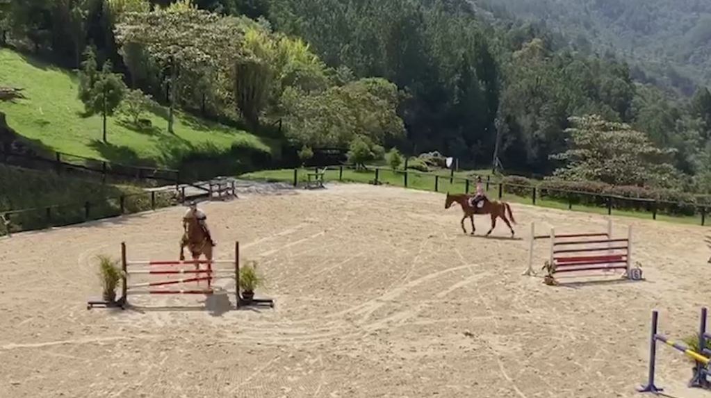 Permiso a ecuestre para mover los caballos en las prácticas equino